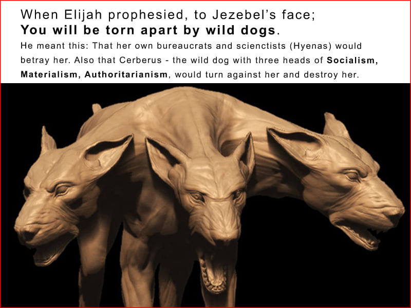 Cerberus - þríhöfða hýenan (Wild dogs)