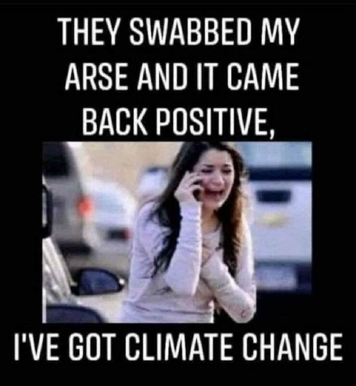 ass-swab