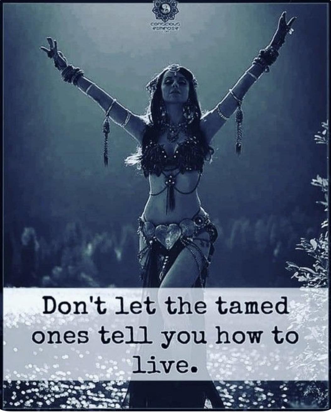 the-tame